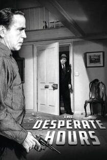 دانلود فیلم The Desperate Hours 1955 بدون سانسور با پخش آنلاین