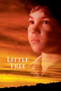 دانلود فیلم The Education of Little Tree 1997 بدون سانسور با پخش آنلاین