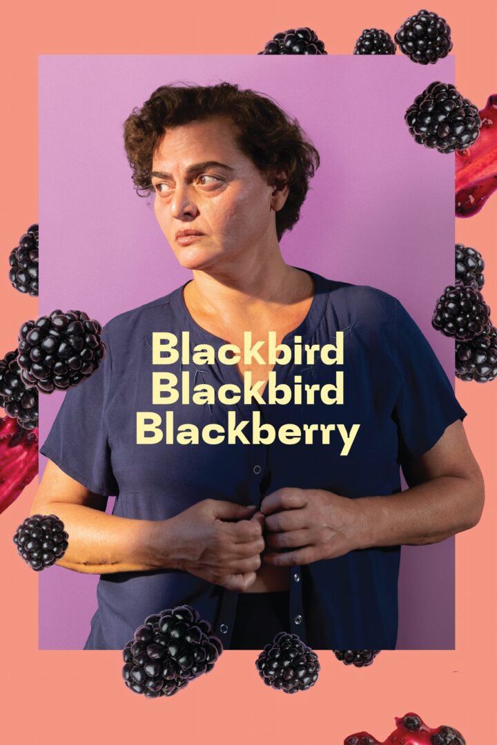دانلود فیلم Blackbird Blackbird Blackberry 2023 بدون سانسور با پخش آنلاین