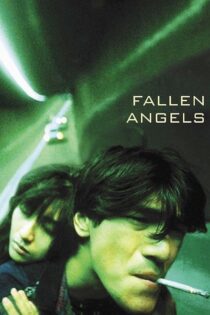 دانلود فیلم Fallen Angels 1995 بدون سانسور با پخش آنلاین
