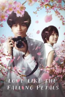 دانلود فیلم Love Like the Falling Petals 2022 بدون سانسور با پخش آنلاین دانلود فیلم Love Like the Falling Petals 2022 بدون سانسور با پخش آنلاین