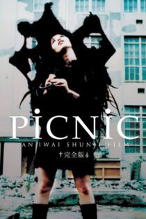 دانلود فیلم Picnic 1996 بدون سانسور با پخش آنلاین